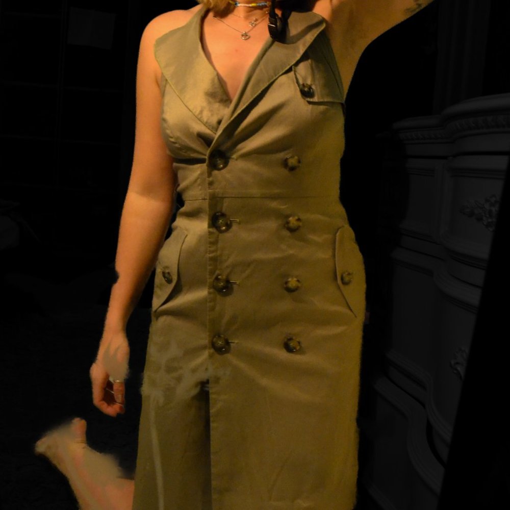 Ann Taylor Beige Work Dress